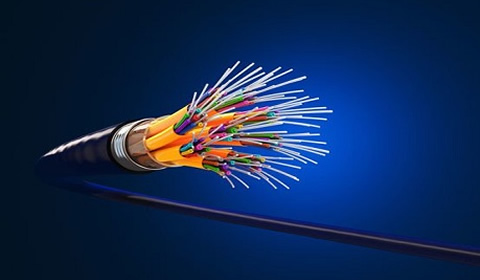 India customers